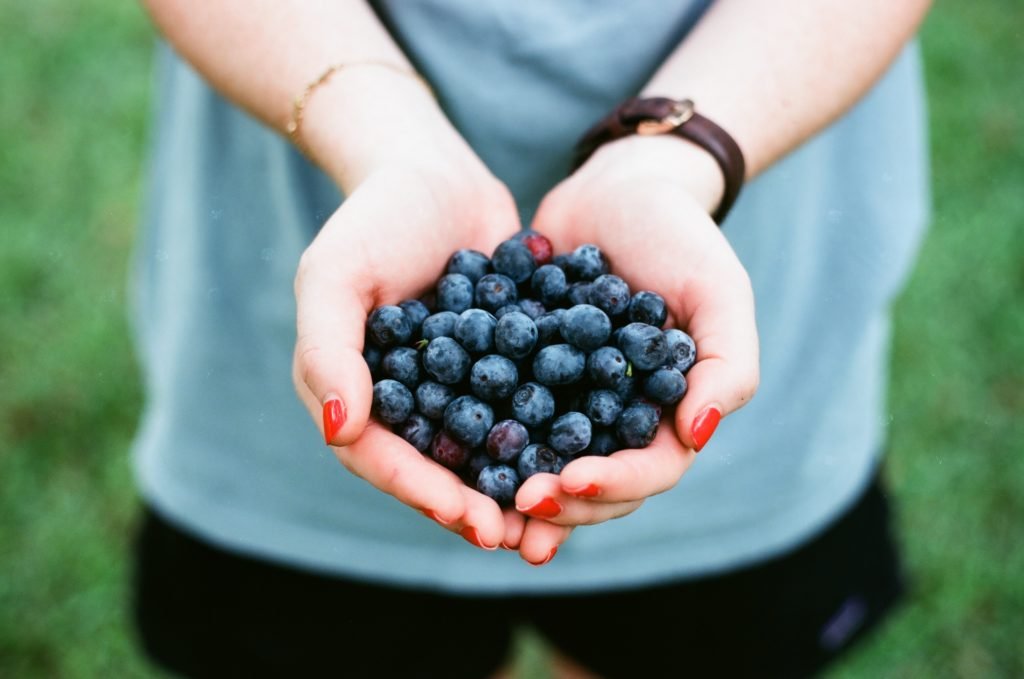 Hands holding a bowlful of blueberries