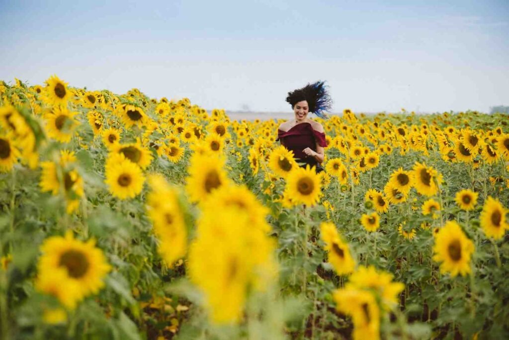 Woman running through a sunflower field